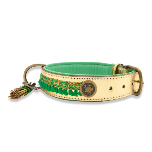 Hondenhalsband Party Animal | XXS 1.5 cm / 20-26 cm