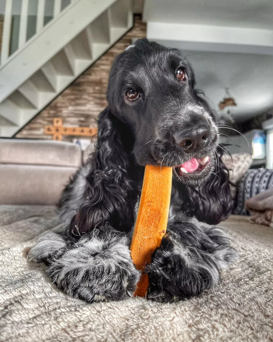 Gerookte hertengewei-kauwsnacks met ham. FANI