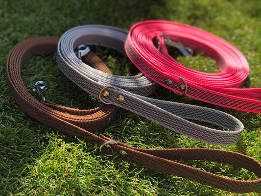 Antislip Hondenriem Roze 2M