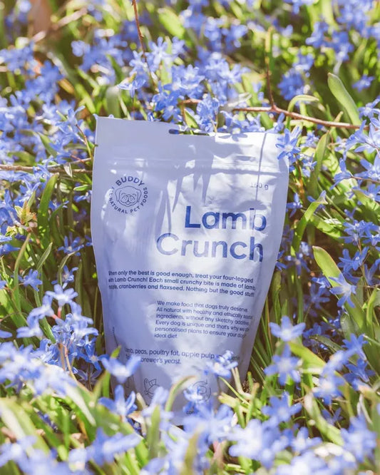 Knapperige Lamssnack Met Cranberries