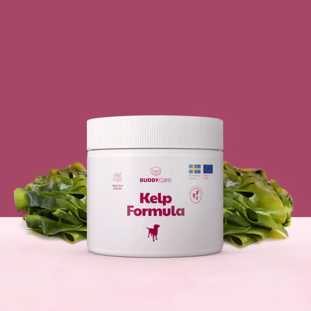 Kelp formule tanden