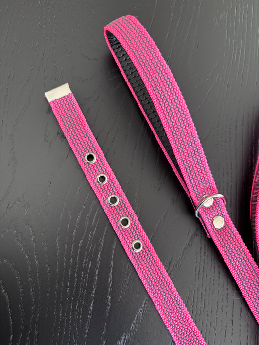 Antislip Hondenriem Roze 2M + halsband 35-39cm