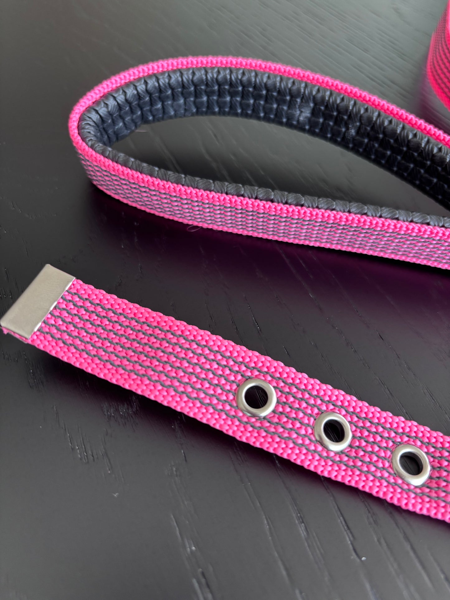 Antislip Hondenriem Roze 2M + halsband 35-39cm