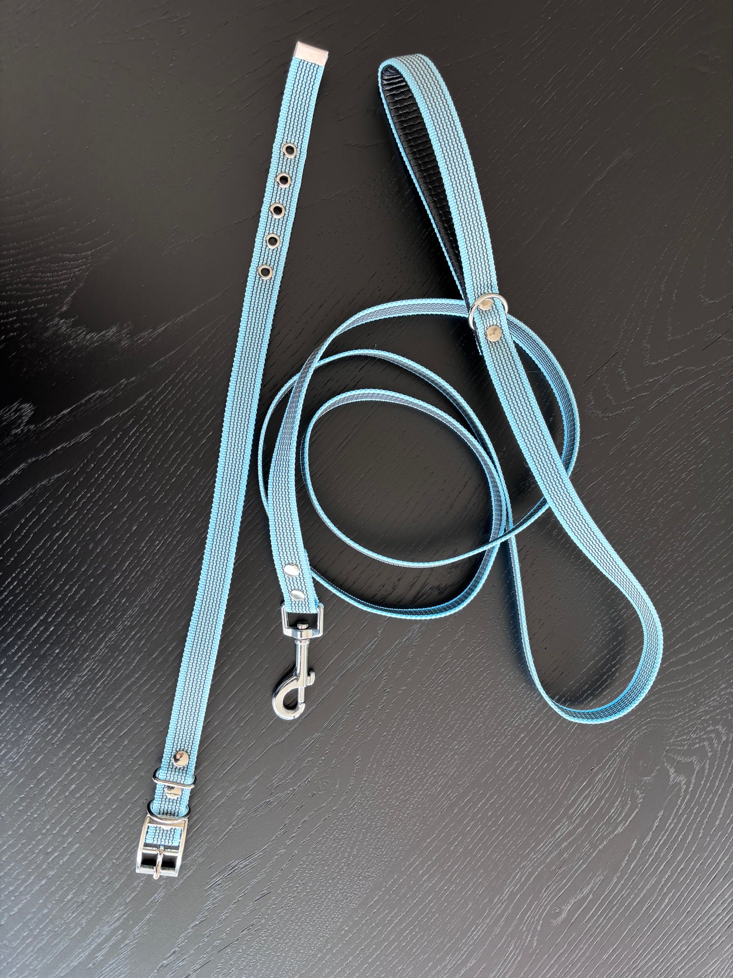 Antislip Hondenriem Miami Blue 2M + halsband 35-39cm