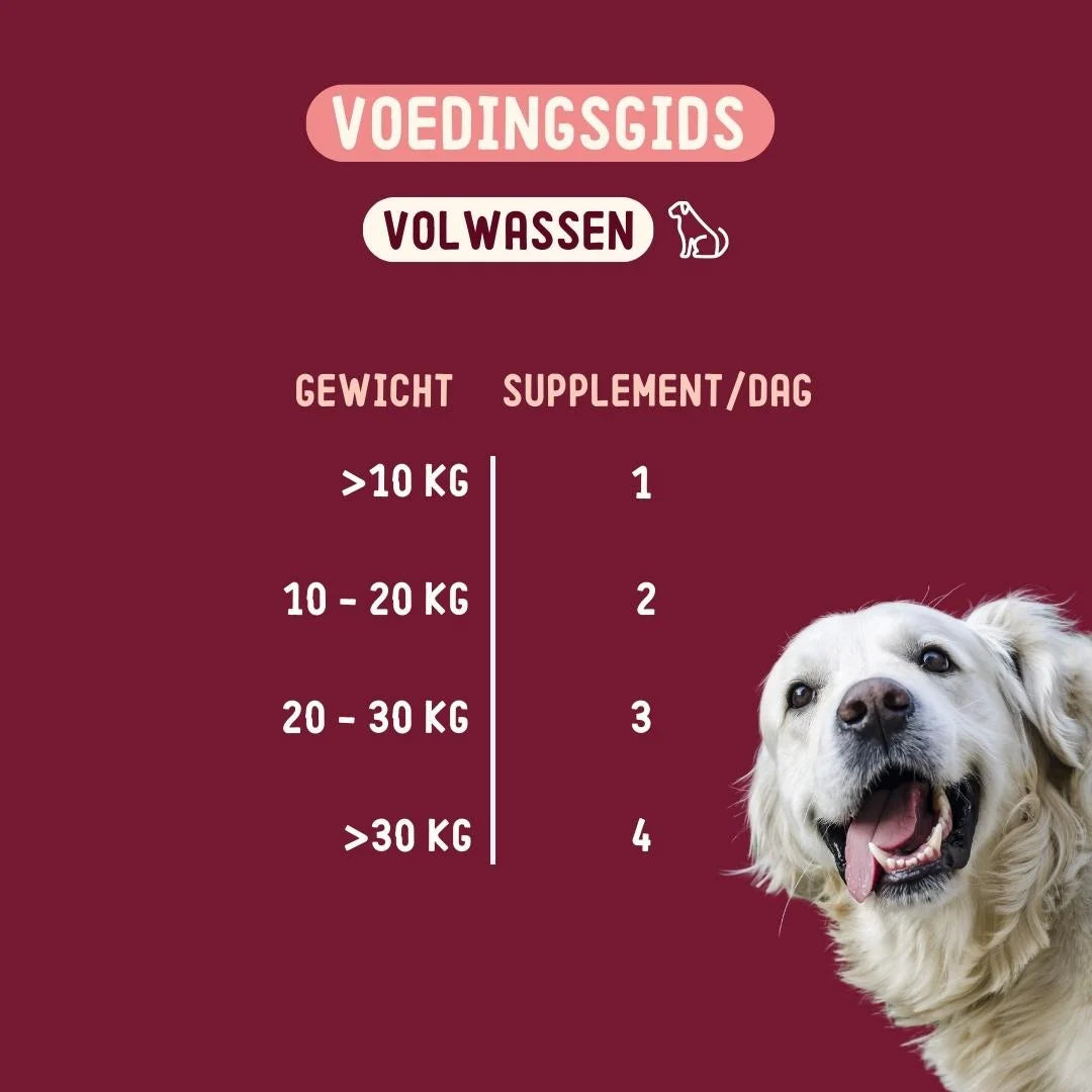 Huid & Vacht
