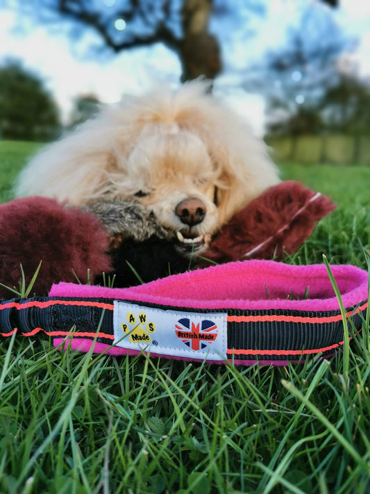 Paws Made The Waggle met extra lange bungee, pieper, schapenvacht, konijnenbont en faux fur voor hondentraining met hond