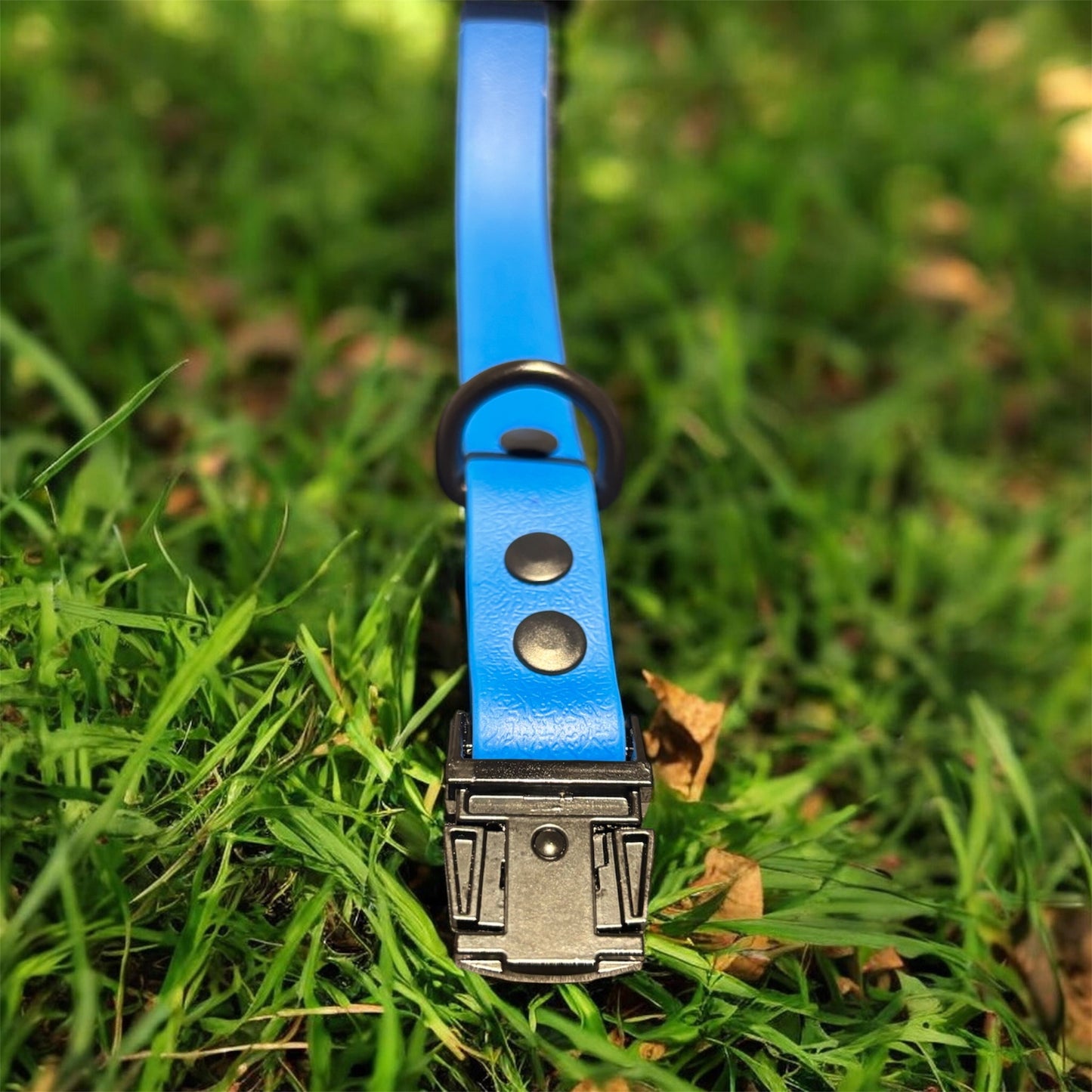 Biothane Halsband Blauw met Zwarte Hardware | 20 mm | 28-33 cm