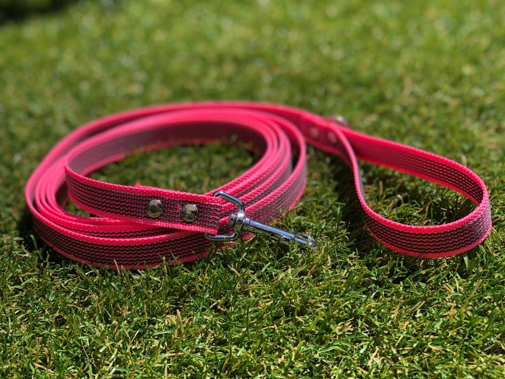 Antislip Hondenriem Roze 2M