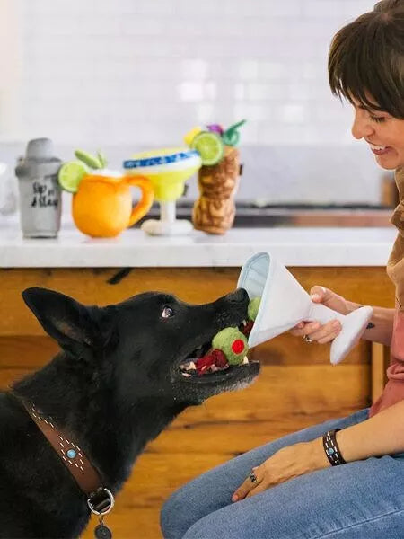 Barktender - Pawtini