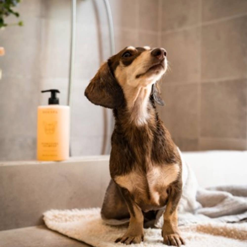 Hydraterende shampoo voor honden