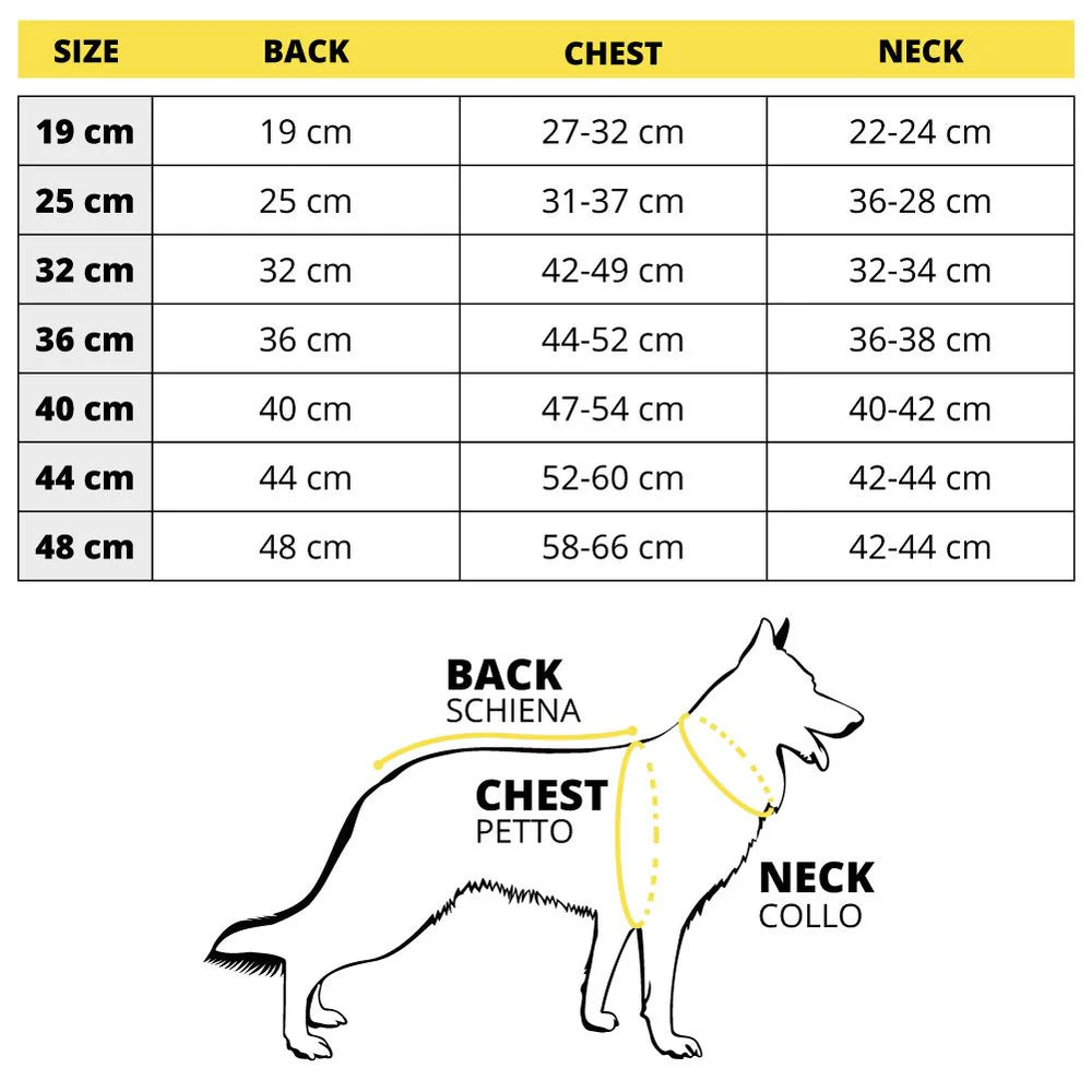 Regenjas voor honden - Leo - Bobby: 36 cm