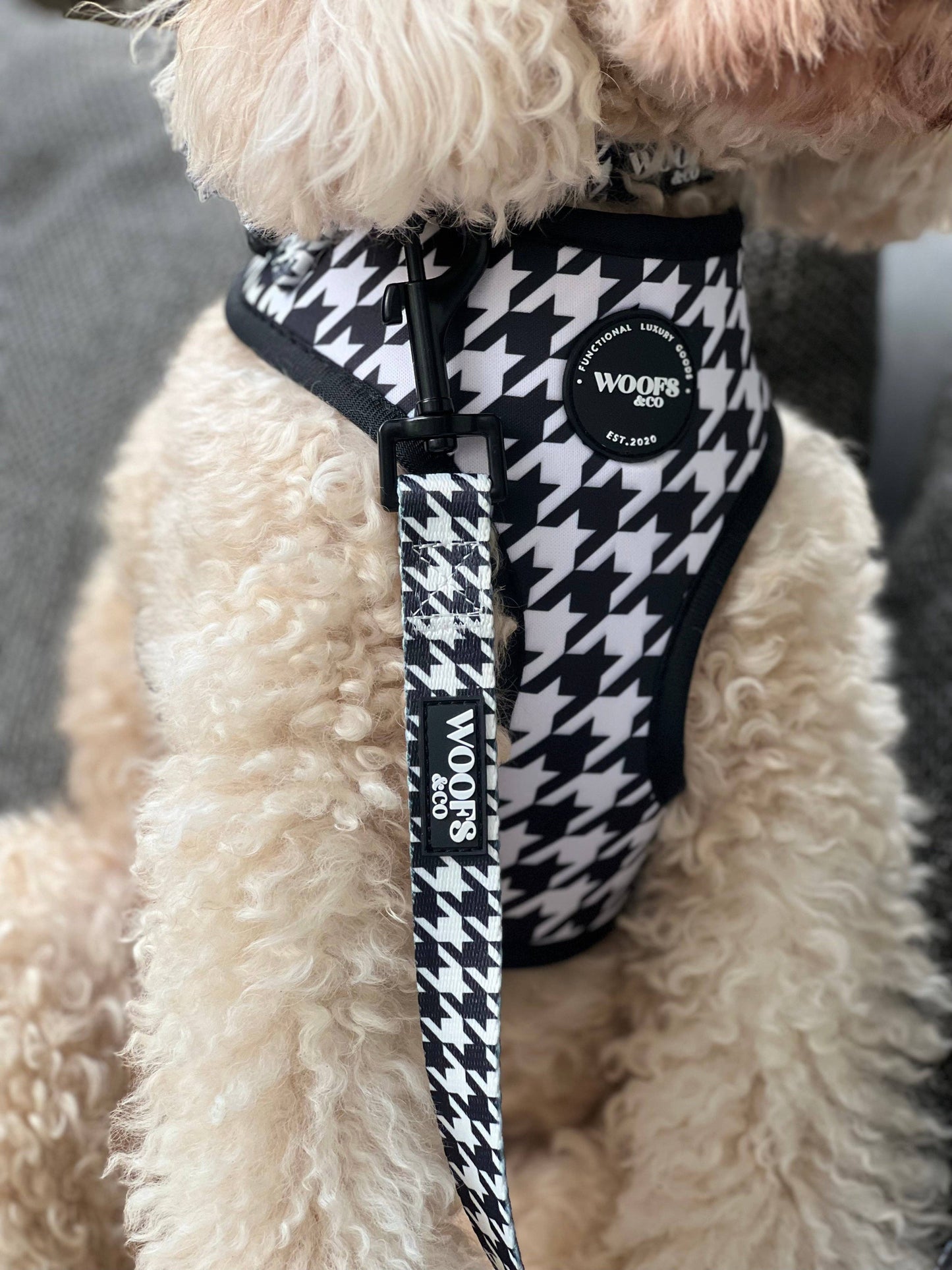 Harnas - Houndstooth Black Edition - Hondentuigje: Extra small