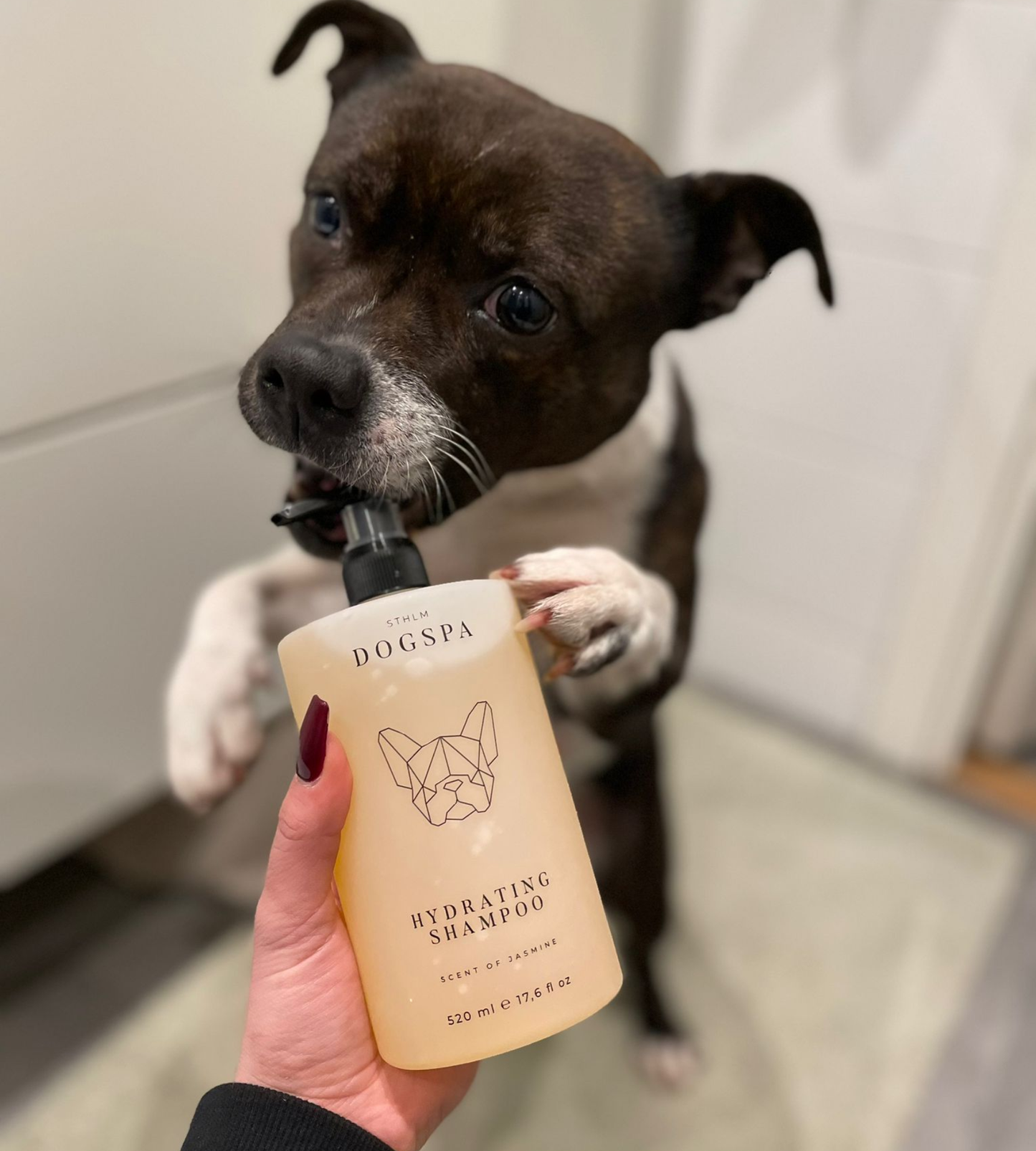 Hydraterende shampoo voor honden