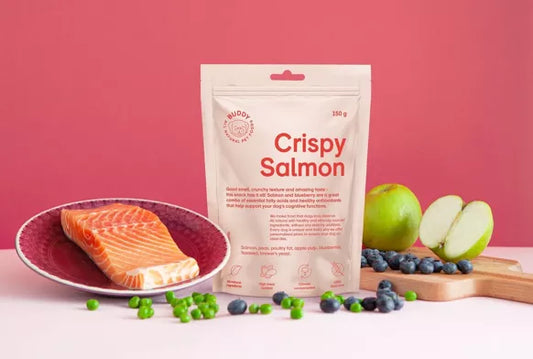 Crispy Snack Salmon with Blueberries