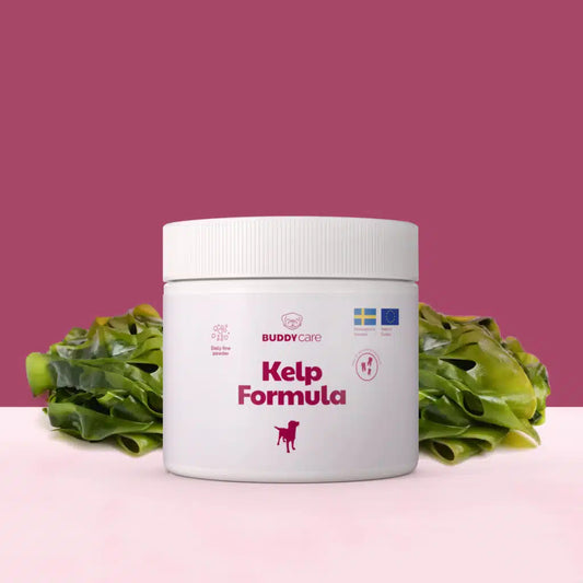 Kelp formule tanden