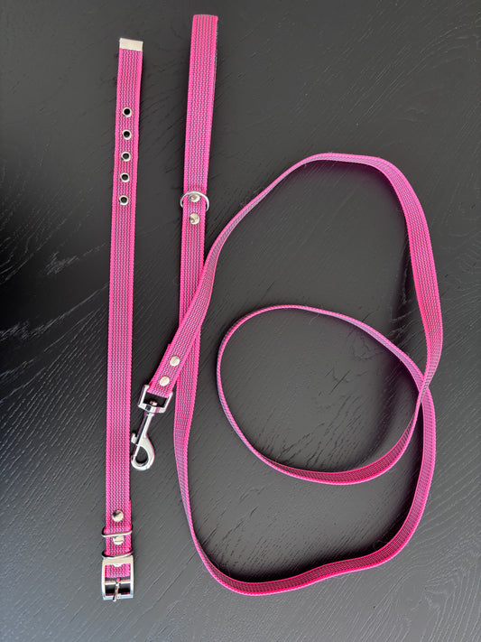 Antislip Hondenriem Roze 2M + halsband 35-39cm
