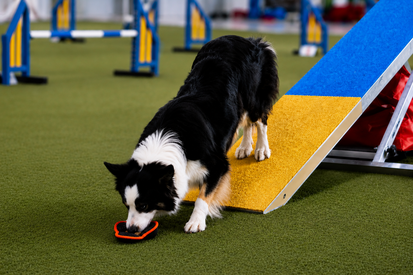 Paws Made Paws Pocket Flower Ball Small handgemaakt trainingsspeeltje voor honden voorbeeld
