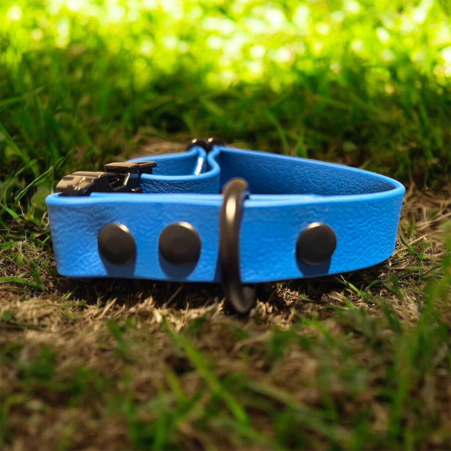 Biothane Halsband Blauw met Zwarte Hardware | 20 mm | 28-33 cm
