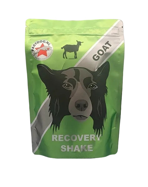 Recovery Shake 500 gram - Geit