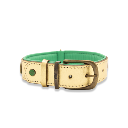 Hondenhalsband Party Animal | XXS 1.5 cm / 20-26 cm