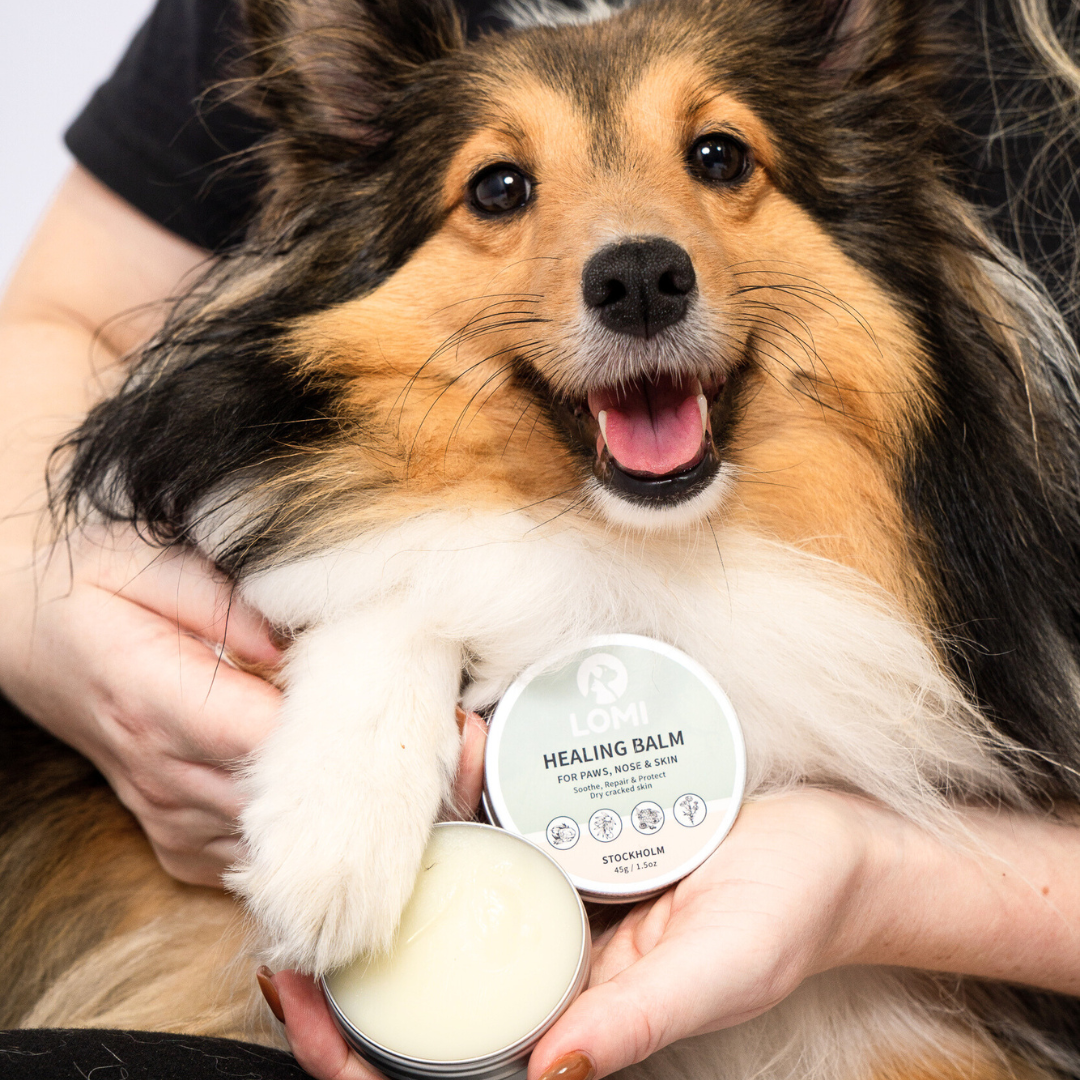 Genezende balsem voor honden en katten