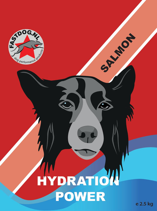 Hydration Power 2.5 kilo Zalm